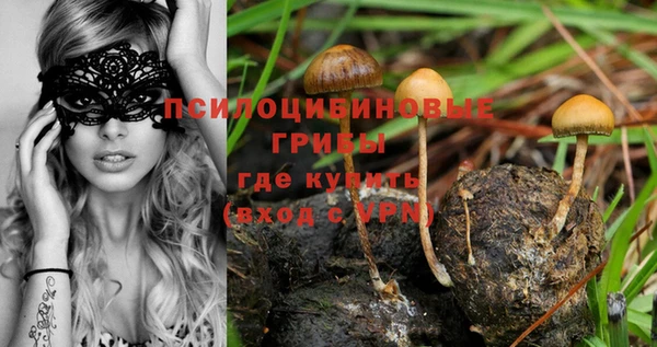 ALPHA-PVP Калининец